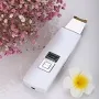 Prospera Ultrasonic Facial Toning Massager