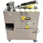 ZONESUN ZS-ECM1 Automatic Small Chocolate Energy Bar Extruder Cutter