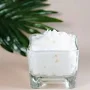 Grass Fed Tallow Butter- Deodorized - 5lb HDPE Bucket - Bulk Natural Wholesale
