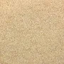 Beefish Beef Flavored Seasoning | Vegan Meat Seasoning