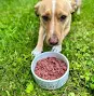 Best Friends Raw Meat Blend (1#)