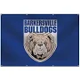 13 oz. Smooth Vinyl Single-Sided Banner