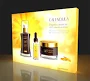 SEG Backlit LED Pop Up Display