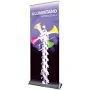 Illumistand 800 Retractable Backlighted Banner Stand