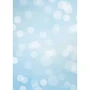 Westcott Subtle Bokeh Art Canvas Backdrop