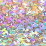Siser Holographic HTV 20 inchx50yd - Iron on Heat Transfer Vinyl Crystal, Size: 20 x 50yd Roll, Clear