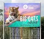 ImageStar 3.2 mil Pressure Sensitive Promotional PVC Print Vinyl