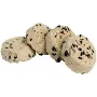 Otis Spunkmeyer Sweet Discovery Chocolate Chip Cookies