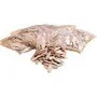 Porter-Cable PLATE JOINING BISCUITS SIZE 0 (1,000 PER BOX) #5551