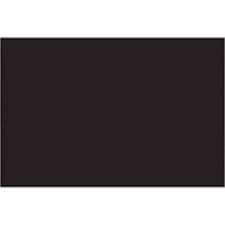 Brady Weather Resistant Polyester Label THT