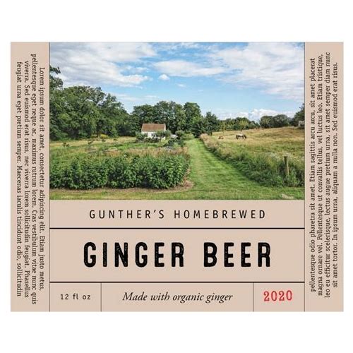 Wine Labels - Brown - Set Of 6 - …