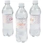 Oriental Trading Company Cheers Water Bottle Labels