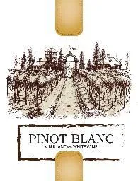 Wine Labels 30 Pack Pinot Blanc