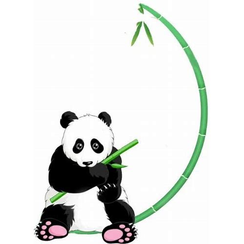 Colour Printing Waterproof Self A…