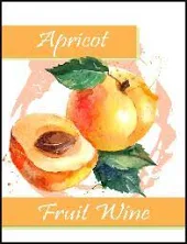 Apricot Fruit Wine Labels