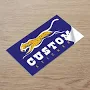 100 Custom Stickers - 2" x 3" Stickers Printing - Fast Printing