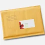 Custom Business Card Stickers | 10 qty | 2" x 3.5" | VistaPrint | Design: White, Nature & Landscapes, Styles & Themes