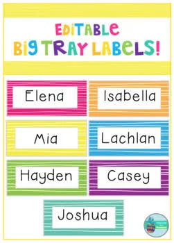 Big Tray Labels - Bright and Bold