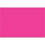 CleanltSupply.com 4 x 6" Fluorescent Pink Inventory Rectangle Labels