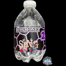 6 pack Custom Water Bottle Label Custom Order Water, Sing 2, Water Bottle Label, Birthday, Physical Label Only, water not included