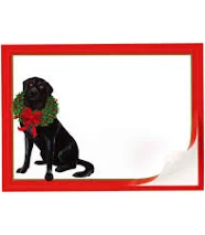 Black Self-Adhesive Labels 12 Per Pack and Easy to Use