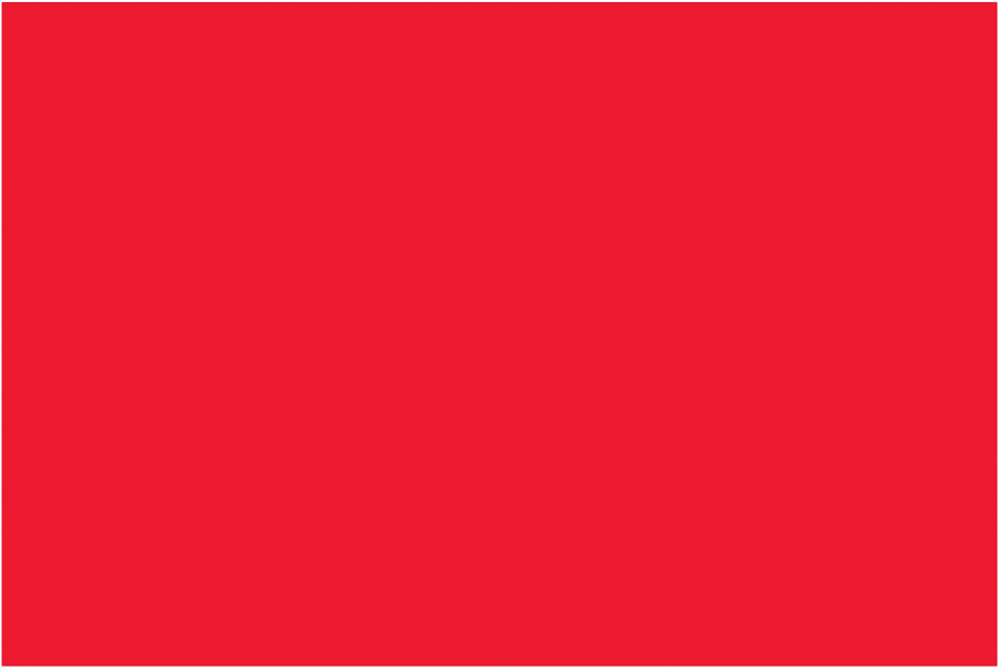 2 x 3" Fluorescent Red Removable Rectangle Labels
