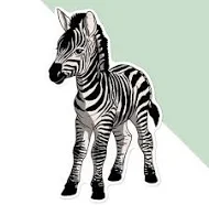 'Zebra Foal' Premium Vinyl Decal Sticker – Waterproof, Durable & Easy To Apply -
