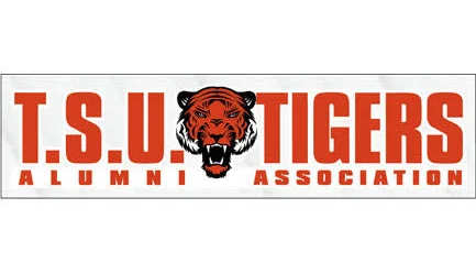 Removable Car Sticker - Medium - Sample