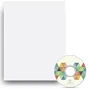 Blanks/USA 4 1/2" x 4 1/2" 120 lbs. Matte CD Label (White, 200