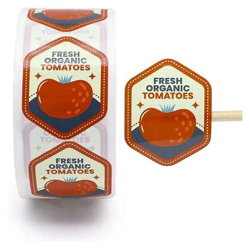 Environmentally Friendly Biodegra…