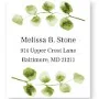 Current Labels Simple Modern Botanical Greenery Sheeted Address Labels