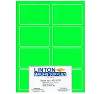 Blank Laser Labels, Fluorescent Green, 2-1/3 inch x 3-3/8 inch, 8 Labels Per Sheet, Peel and Stick