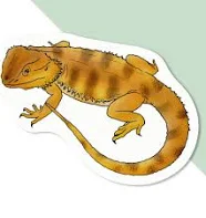 4 x 'Bearded Dragon' Premium Vinyl Decal Stickers – Waterproof, Durable & Easy T