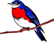 50 PACK LASER White Gloss Adhesive Label/Decal Sticker Paper FREE SHIP!