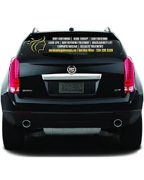 Custom Business Car Decal/Vinyl Logo & Lettering/Vehicle Window/Door Sticker/Waterproof and Long-Lasting/Personalized Branding