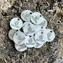 CUSTOM ALUMINIUM TAGS || Custom Aluminum Product Tags || Personalized Metal Tags || Custom Product Labels (18mm-0.7")