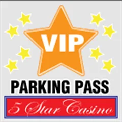 125 pcs Clear Removable Vinyl (Face Adhesive) Labels