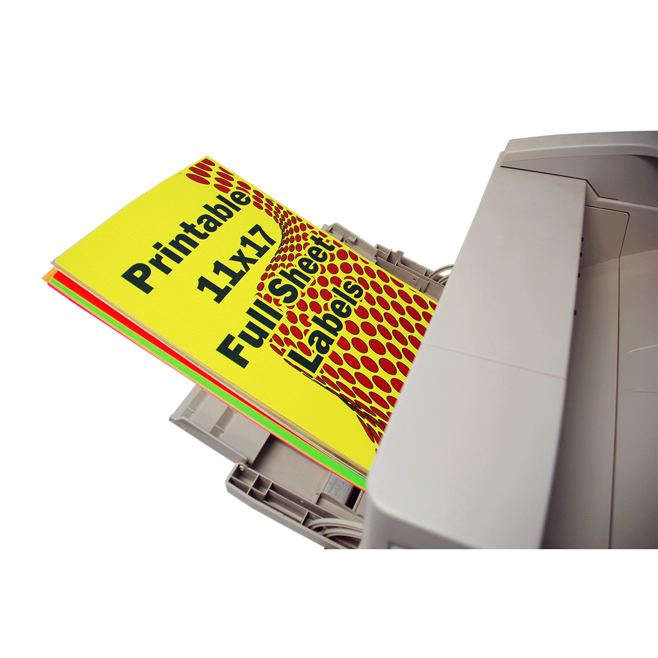 11x17 Green Peel & Stick Labels