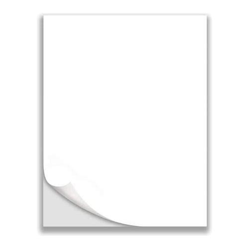 Next Day Labels High Quality Sel…