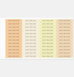 Pastel Colors Kids Name Clothing Labels for School