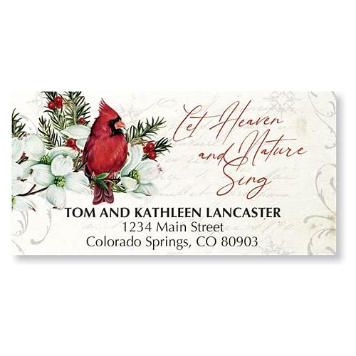 Winter Cardinals & Dogwood Chri…