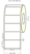 LX900 6" x High Gloss Paper Labels Roll