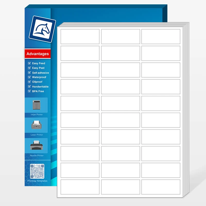 1" x 2-5/8" Blank Rectangle Address Labels for Laser & Inkjet Printers