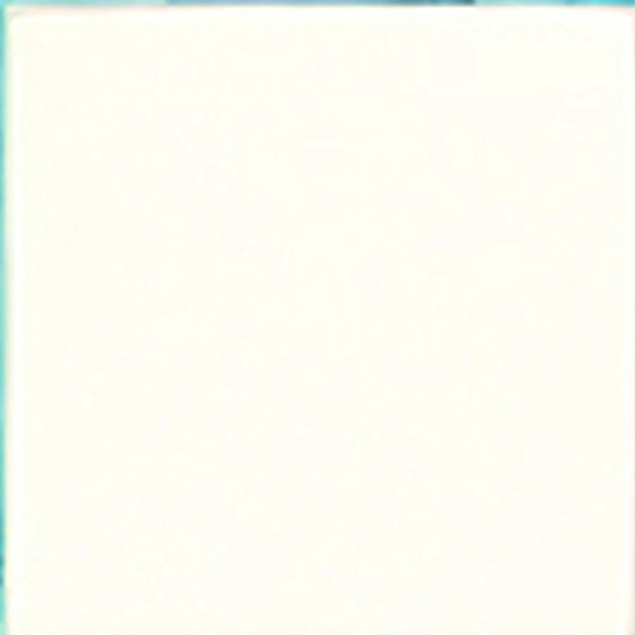 Blank Adhesive Labels