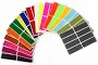 Royal Green Rectangular Colored Labels