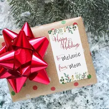 Holly and Greenery Christmas Gift Tag Stickers - Red and Green To From Labels - Holiday Wrapping - Set of 42