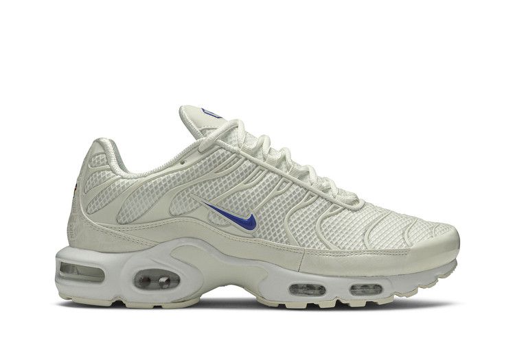 Mens Nike Air Max Plus Shoes