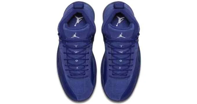 Air Jordan 12 Retro Suede (2016)