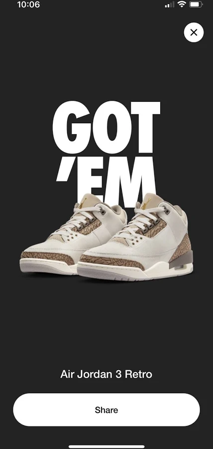 Size 12 - Jordan 3 Retro Mid Palomino