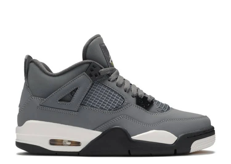Jordan 4 Retro Cool Grey (2019) (WORN) 10 (NEAR DEADSTOCK)(RIFOC)